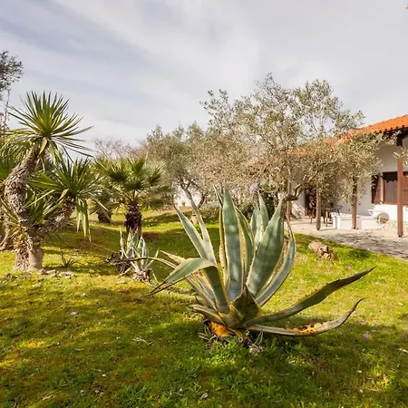 Blue Lagoon! Holiday home Nikiti (Sithonia)